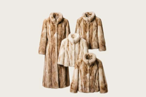 昌邑区回收皮草衣服